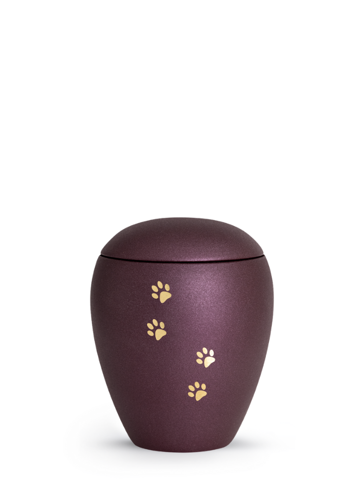 Zvířecí urna Verona Paws - Berry 0,5l