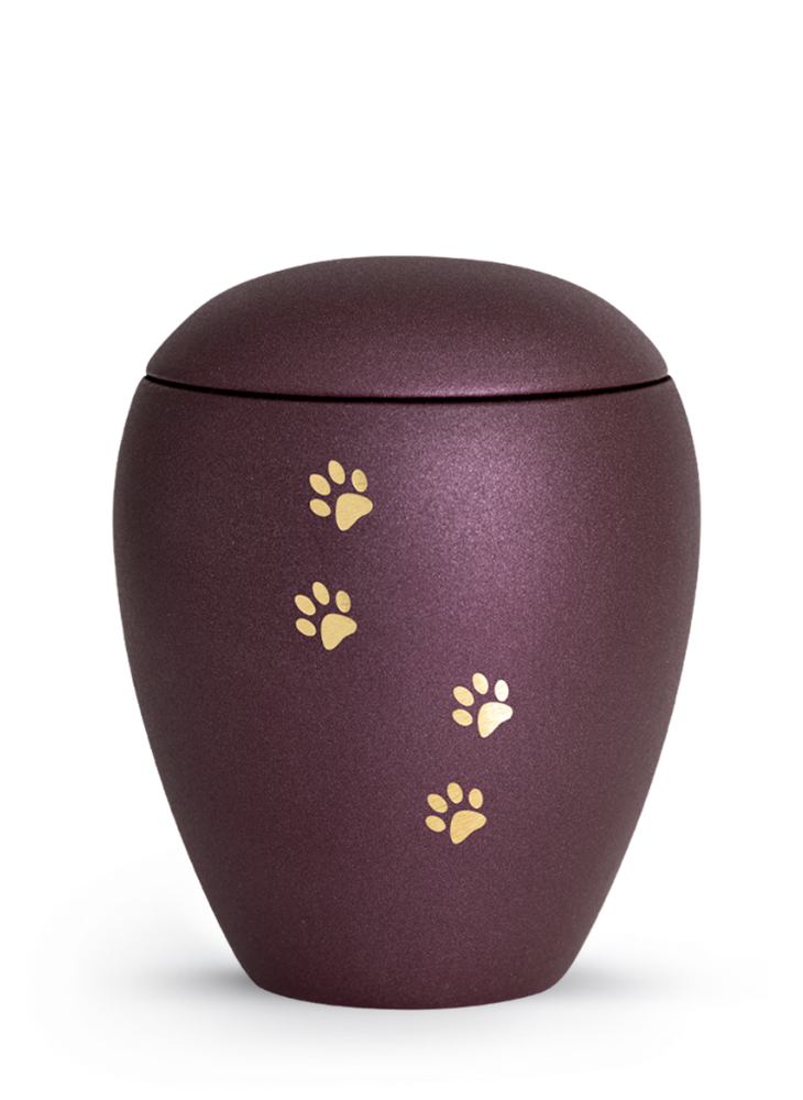 Zvířecí urna Verona Paws - Berry 2,8l